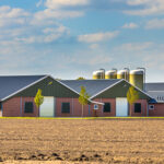 Large modern barns in agricultural landscape in the Netherlands