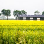 SSUCv3H4sIAAAAAAAEAJ1W247bIBB9r9R/iPy8kbjYMe6vrPqA8SShi8EFnCha7b8X20nlMJZS9SnxcBhm5pwZ+Pz+bbcrWhm0Kn7sPqev9K2NGUP0Mmpnk5m83e3Q6ei8lmYyTraveaUIUcYxQJhc3E1KRjgl7GK873+c87587x4L82LakZaK4m1lC2M72x6mr7f/3rn8+flIRZ7Aqtsc8CoRDwbkksj7Ai0+rhF8v87CywECQLdOpDjUFeFFdoiRtgsqwZ+hrGkOOdRp8wQSNa0OB+RRnrxWo4mjz3ySUiCfrVQfJ+9Gm4V6IKTOsWfpLxCitqdnLBUc+dW2m+Sx6GAdQ0Vojj1K32ceywal1WrXyxCegA0hhAuCoMa5Pg+TVpxQkUOVtM7I57KSVFaESyWK/pYng8MckkMve4nKiY9eXAbd5TxtuFXeDZlCBEUoUM6403OUTU0FKjnYi/bO9mBjrpGm2uIHkb4lpgk46fk1mUcNJoNxQrBD467gs7zrutnGhdfAu4RfV/IM0mzkjEP85UZvIRcG46h7epCdu2Y5U45CtHKjczcGxwBSwXF87q+KNBWrEINDYiVLmnLciIN33ajySVTX2N8MvI/+F939e9QQ/yVIn1eHMXyyHz0eKVhfQYEF1K5UoGrjIc1EhbgLg0diYAI3QPSAqoebb0IhrW7B9PBaVhcN19ez5gptRn/D0IE3MAZxQLfuDG9Ri+MhLL1Pl0s2WvmBbU7rvLYMMdWO2nQ5C03TUNxproM8QsYEFsk5476mnP8Nb/q5X/mXNKLd6uEix0671W1/cUqaiVG+2pQko5ZwH9tcPM/D7O/7J92Qc+YPg3VxFsb9mVJ06YE0fVJOa34oCU99I1hNaFk8HlVOfehu/aha3llnnZb8bWXXU6pF28KxLQnd87ZU+5IA3YtKwF42VVuyIxEdm4j8+gMSuAFr9AkAAA==